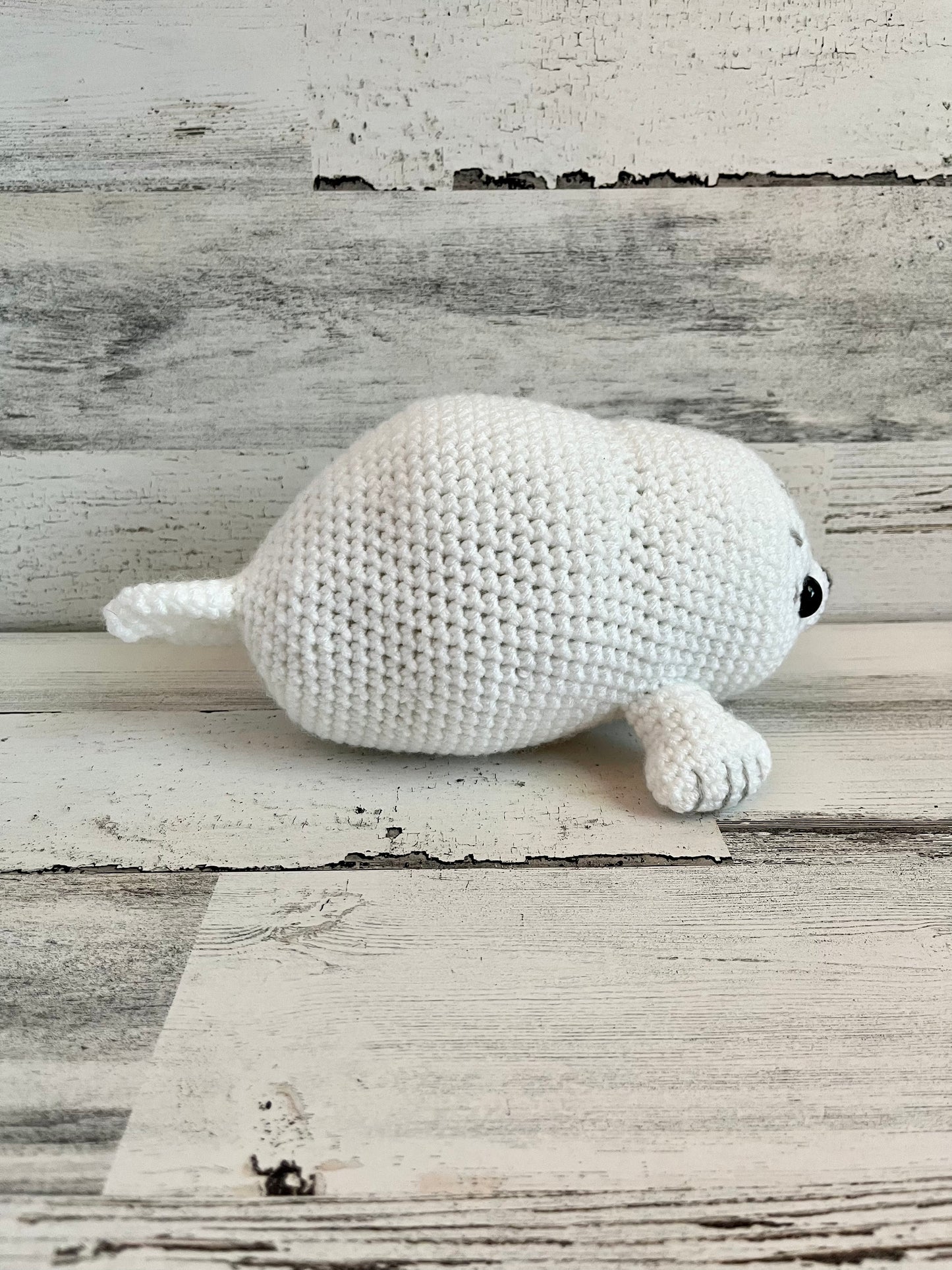 Chubby Baby Seal