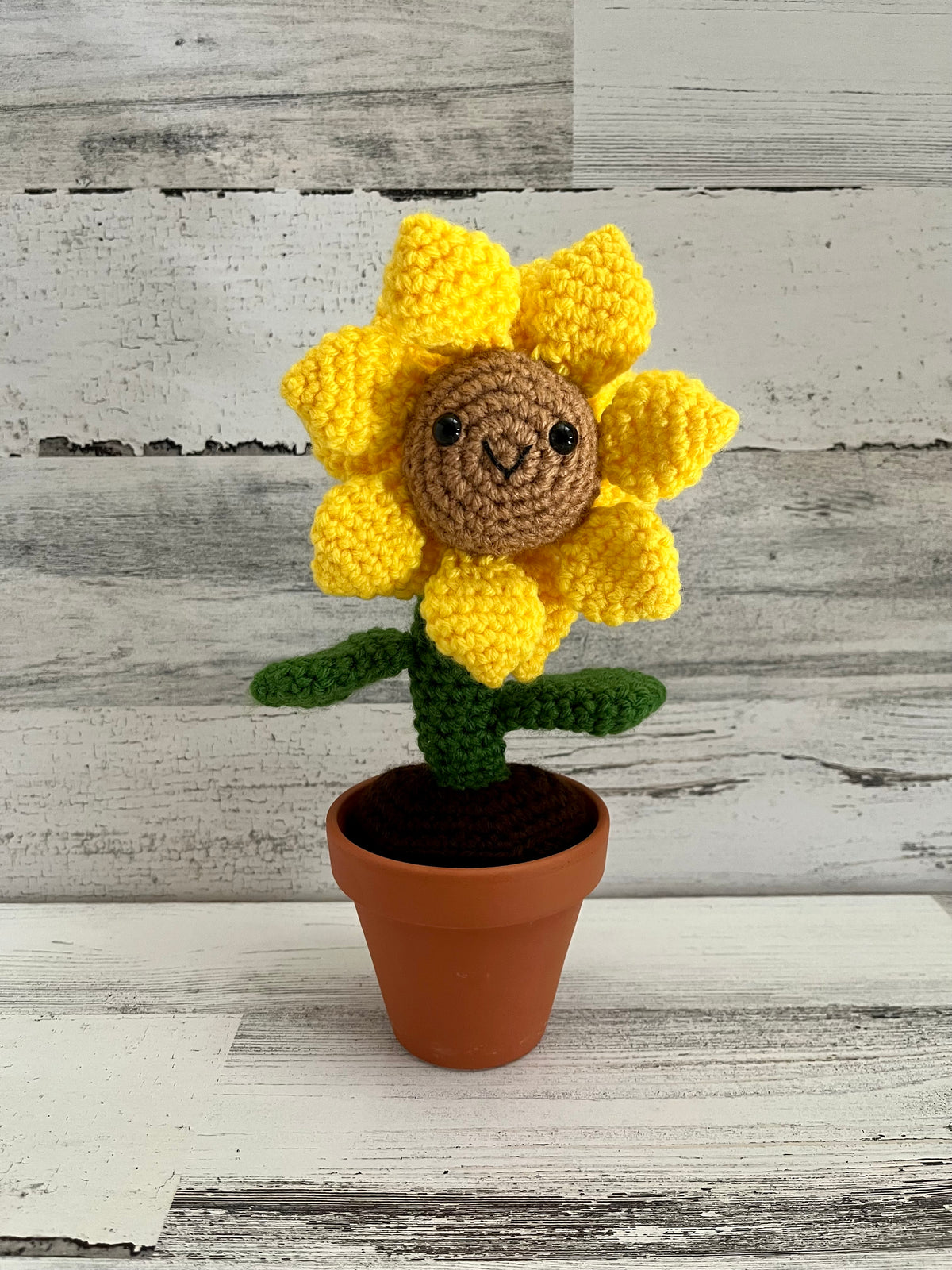 Potted Sunflower