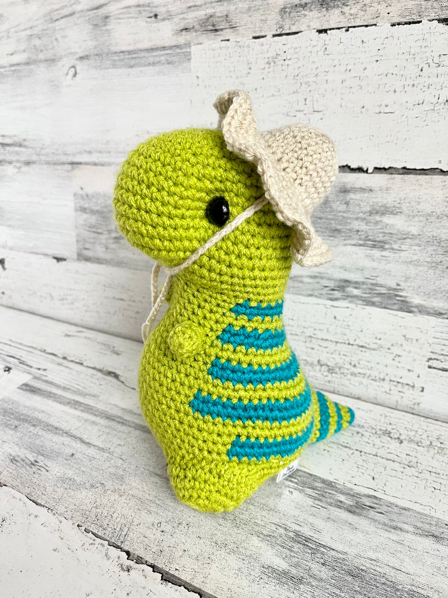 Sunny Beach Hat - Dinosaur Accessories