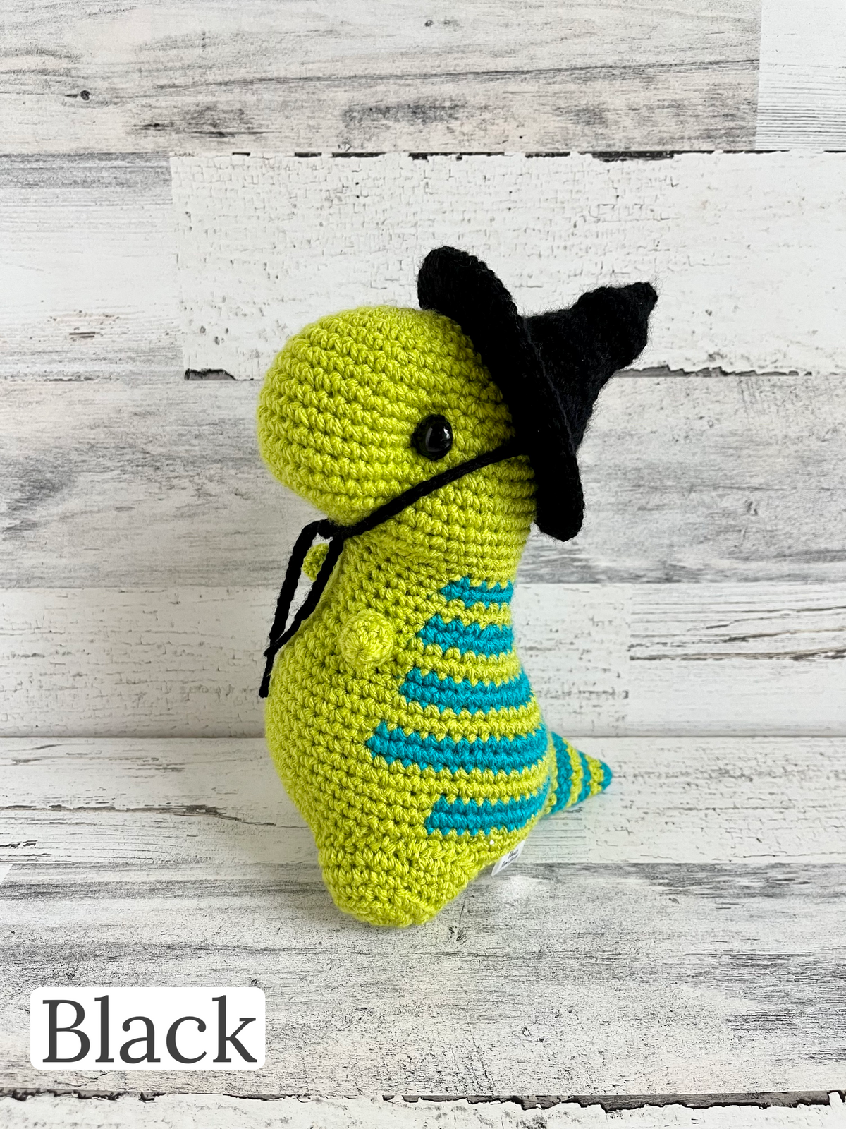 Witch Hat - Dinosaur Accessories