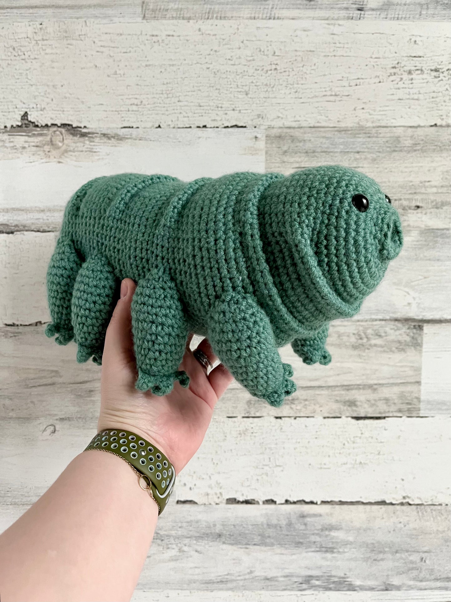 Water Bear (Tardigrade)