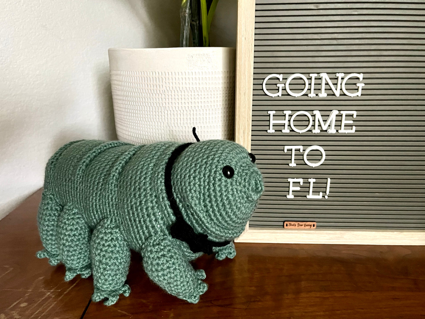 Water Bear (Tardigrade)