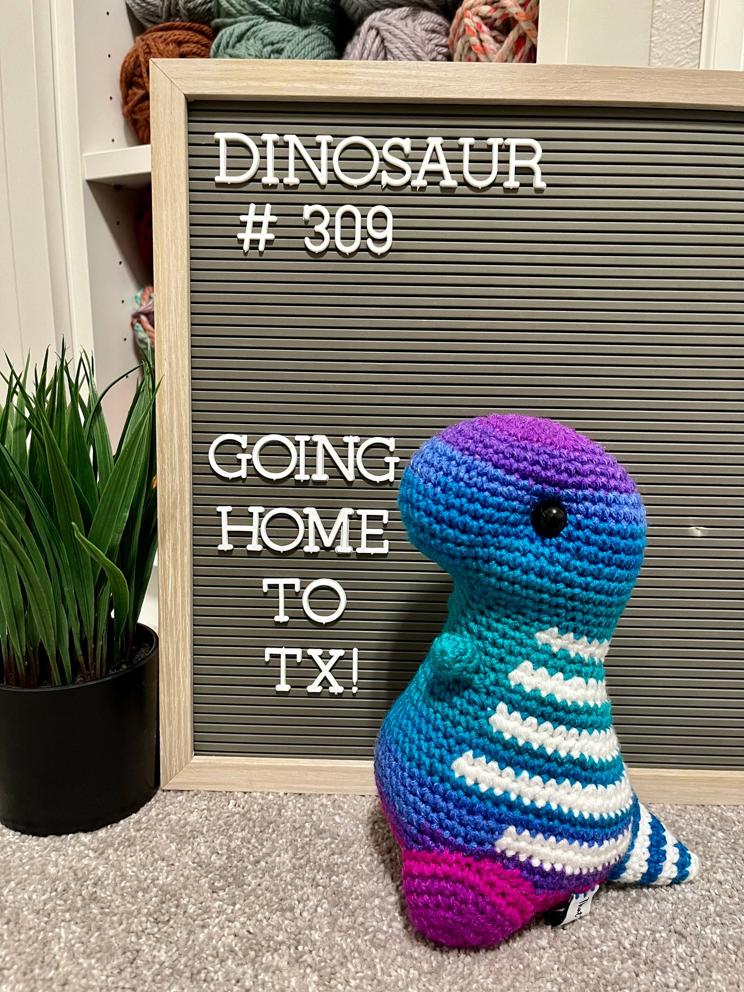 Polo Ombré - Chubby Dinosaur